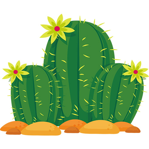1638557245farjadco-500-cactus5.jpg
